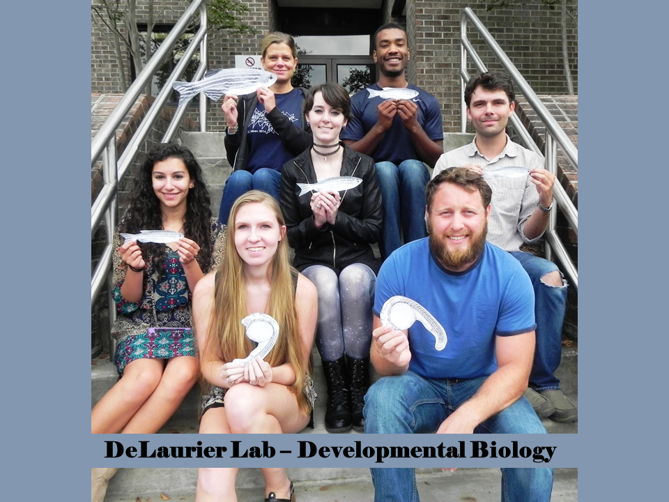 DeLaurier Lab F16