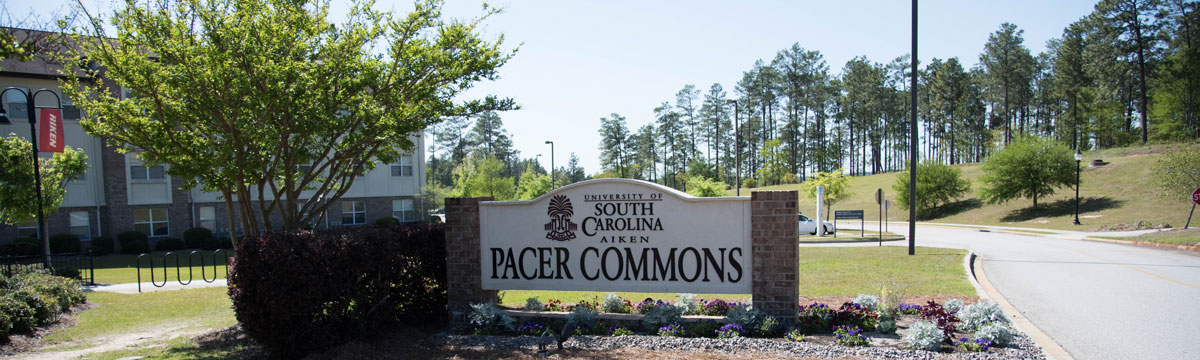Pacer Commons